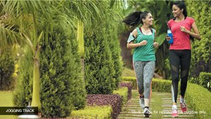 Jogging Track